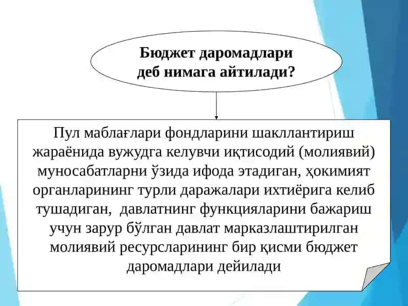 Давлат бюджети даромадлари тизими 4