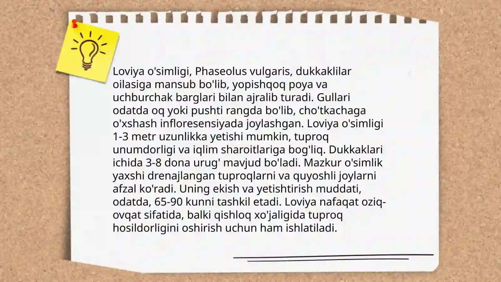 Loviya o‘simligining biologik tuzilishi, ishlatilishi va ahamiyati 4