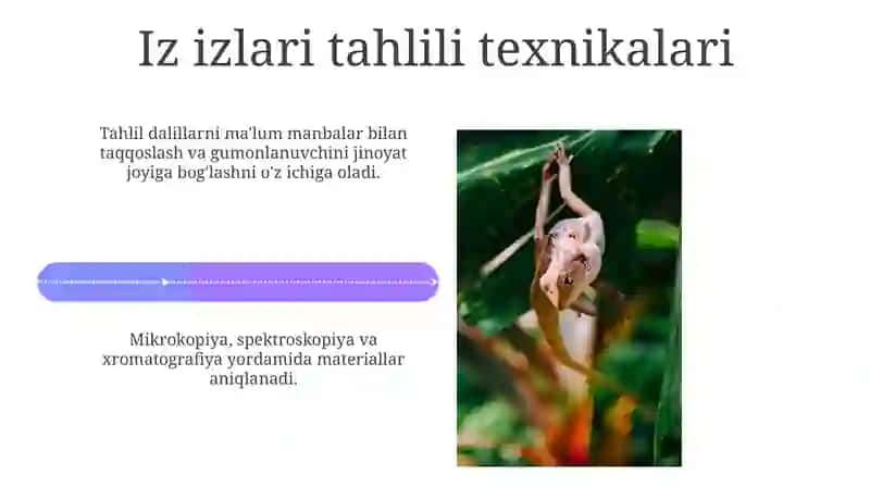 Trasologiya tushunchasi, izlarning tasniflari 4