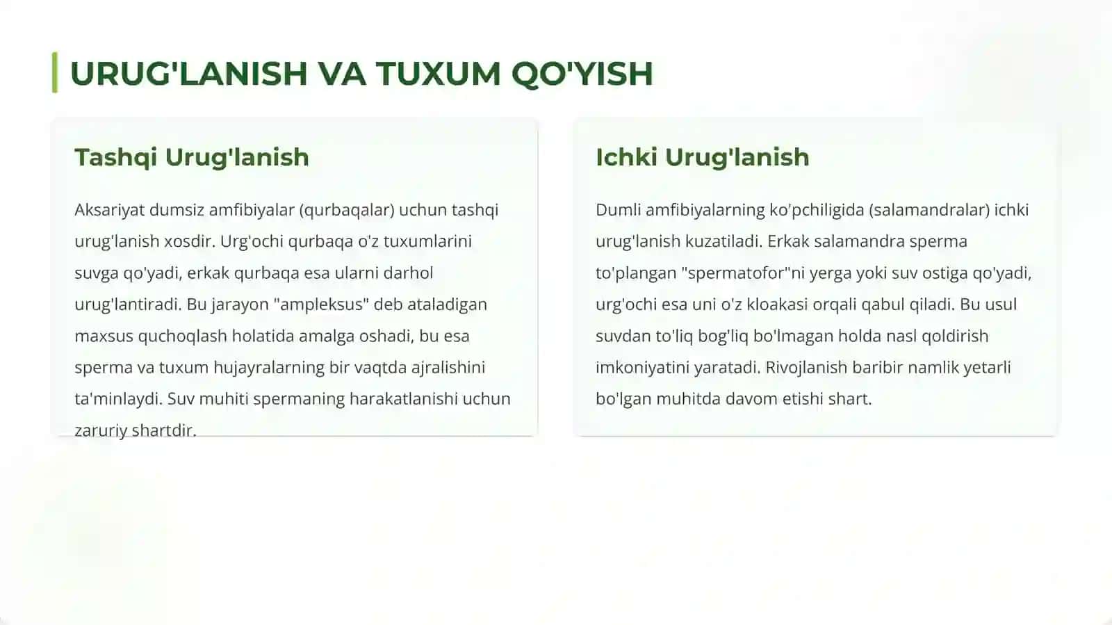 Amfibiyalarning Individual Rivojlanish Xususiyatlari 4