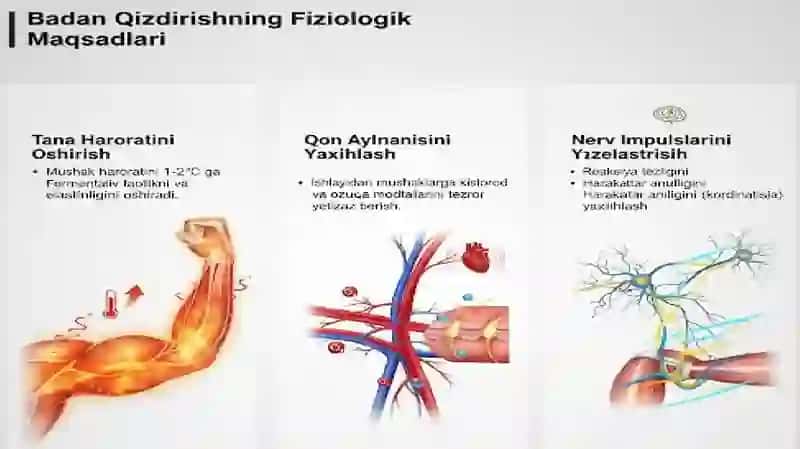 Badan qizdirish mashqlari / Gimnastika uchun badan qizdirish mashqlari 4