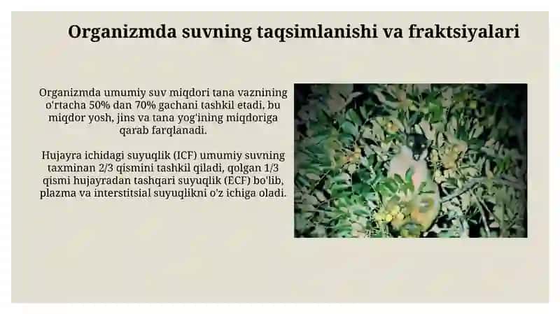 Oʻrganizmning suv-dispers sistemasi 4