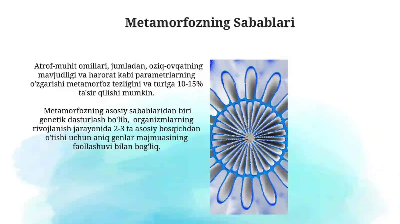 Asosiy marfologik qonuniyatlari: simmetriya turlari,metamarfoz 4