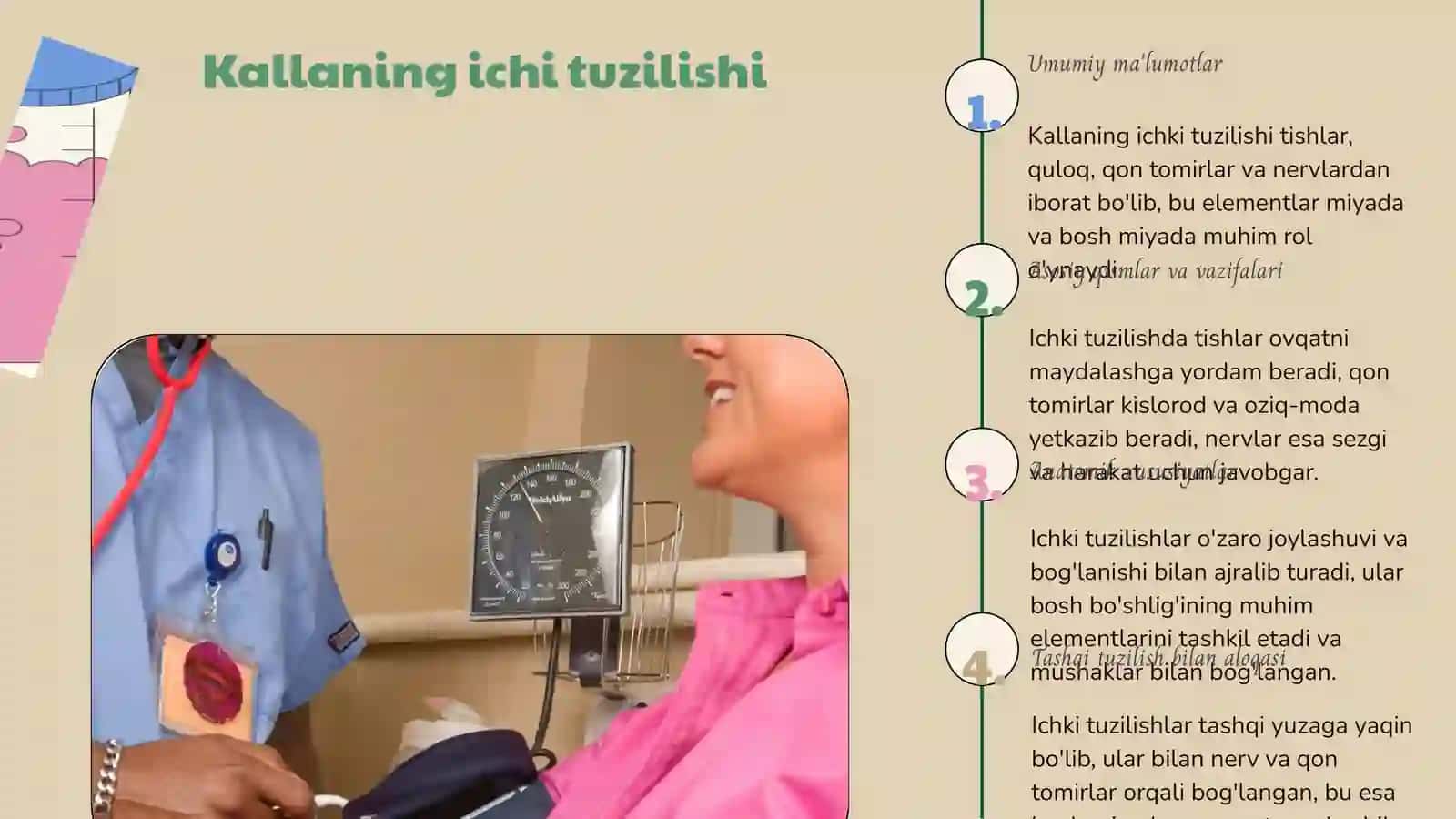 Kallaning tashqi va ichi asosi koz kosa qismi 4