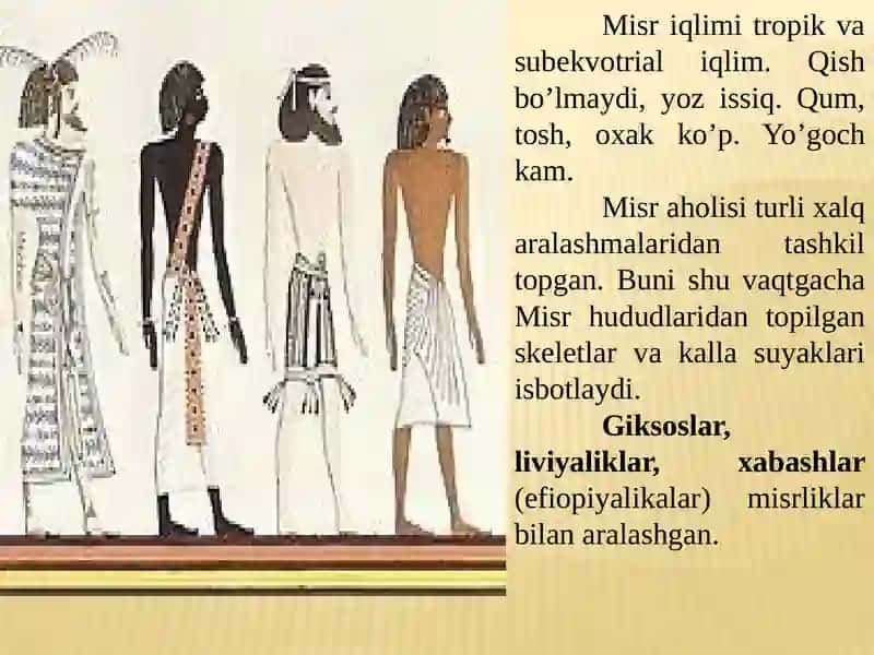 Qadimgi Misr 4