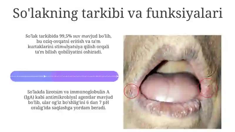So'lak ajratish reaksiyasi fiziologik konstanta sifatida 4