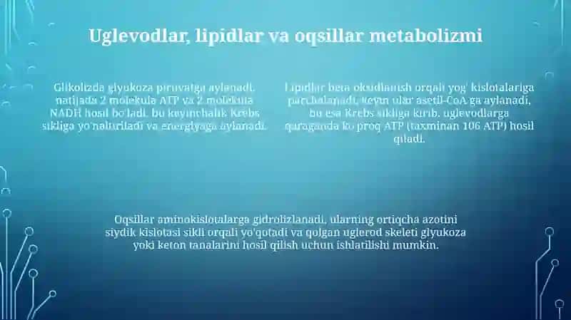 Organizmdagi moddalar 4