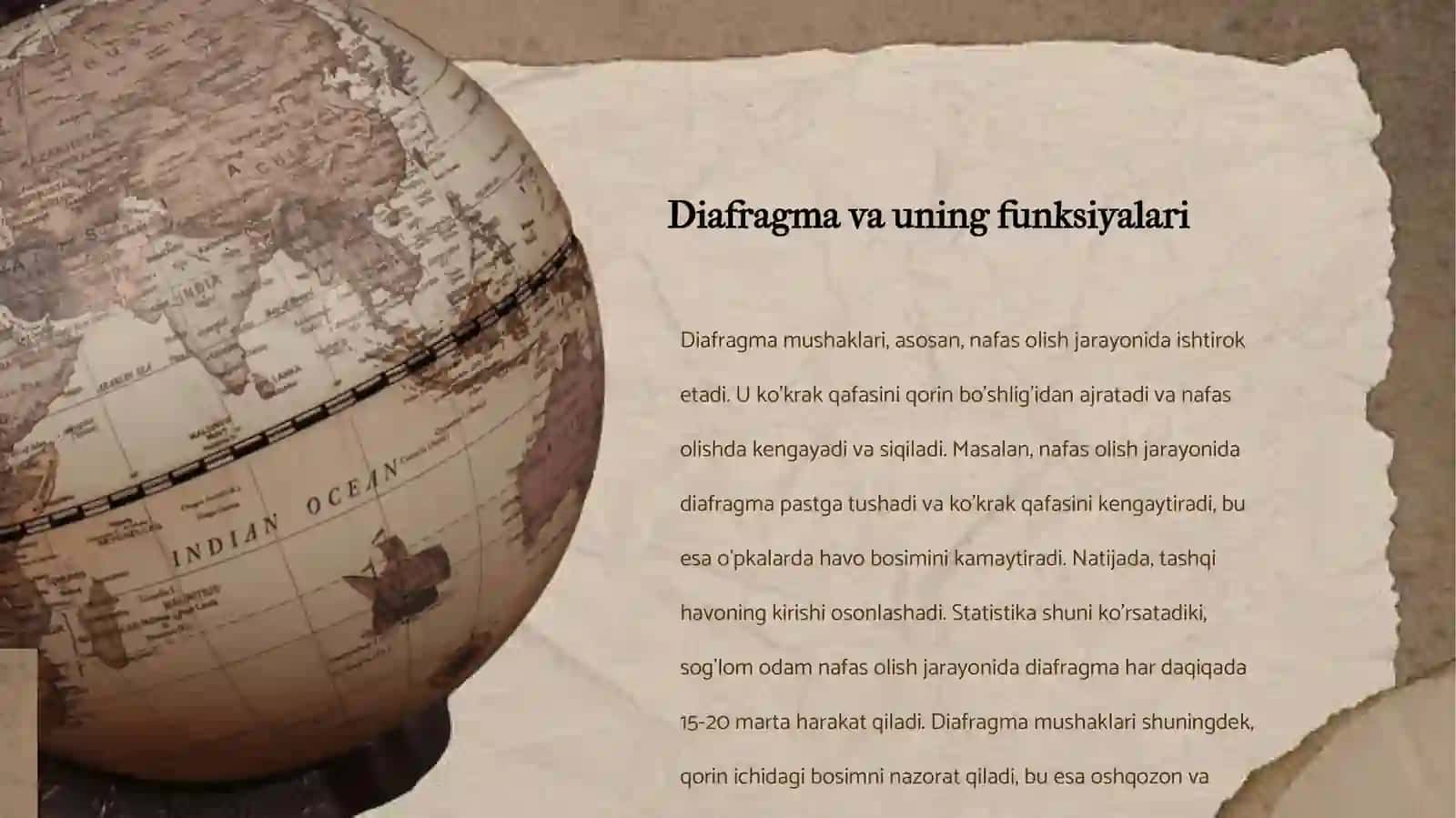 Diafragma Mushaklari Fiziologiyasi 4
