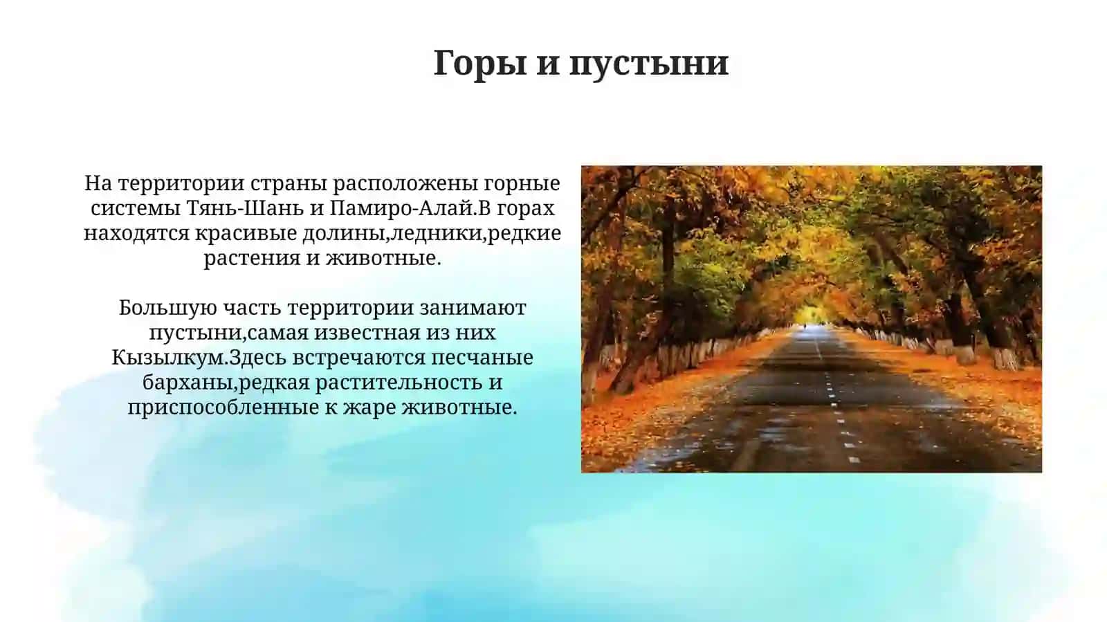 Природа Узбекистана 4