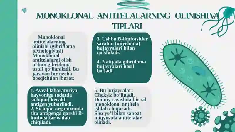 MONOKLONAL ANTITELALAR, ULARNI OLINISHI, TIPLARI VA AMALIYOTDA QO’LLANILISH. SITOKINLAR, 4