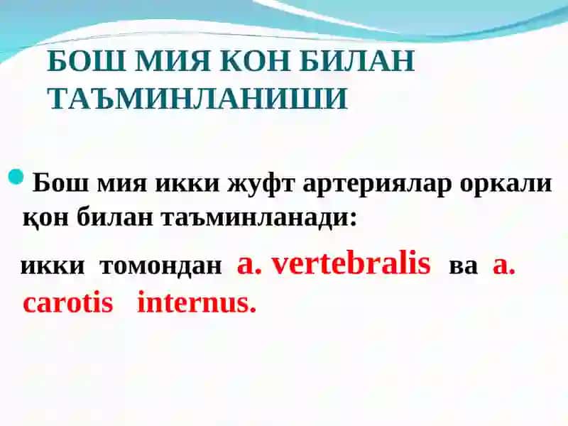 Бош мия қон томир касалликлари 4