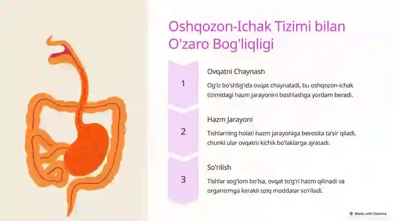 Og`iz bo`shlig`i sog`lig`i 4