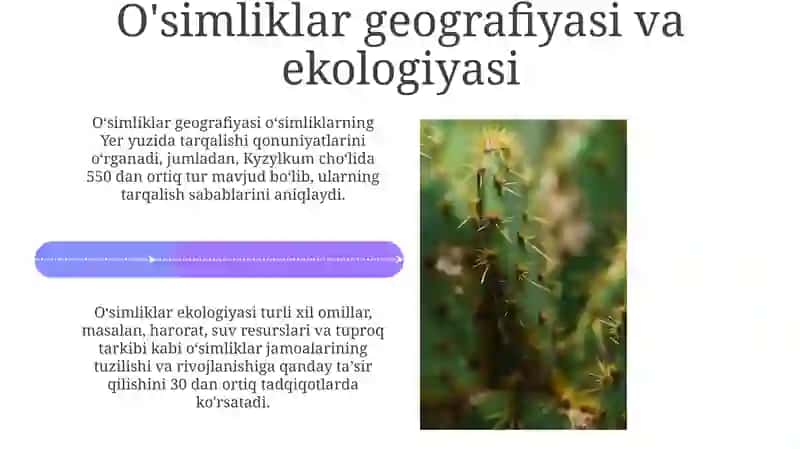 Qizilqum cho'llari dorivor o'simliklari 4