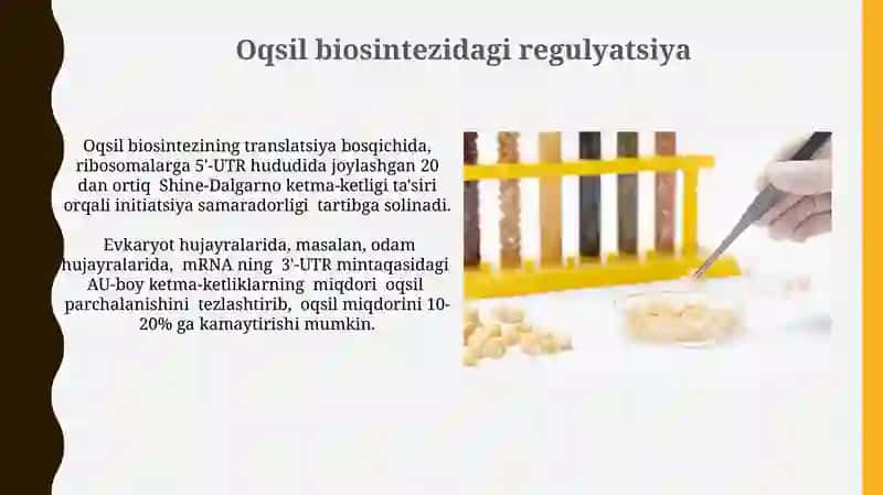Oqsillar biosintezi 4