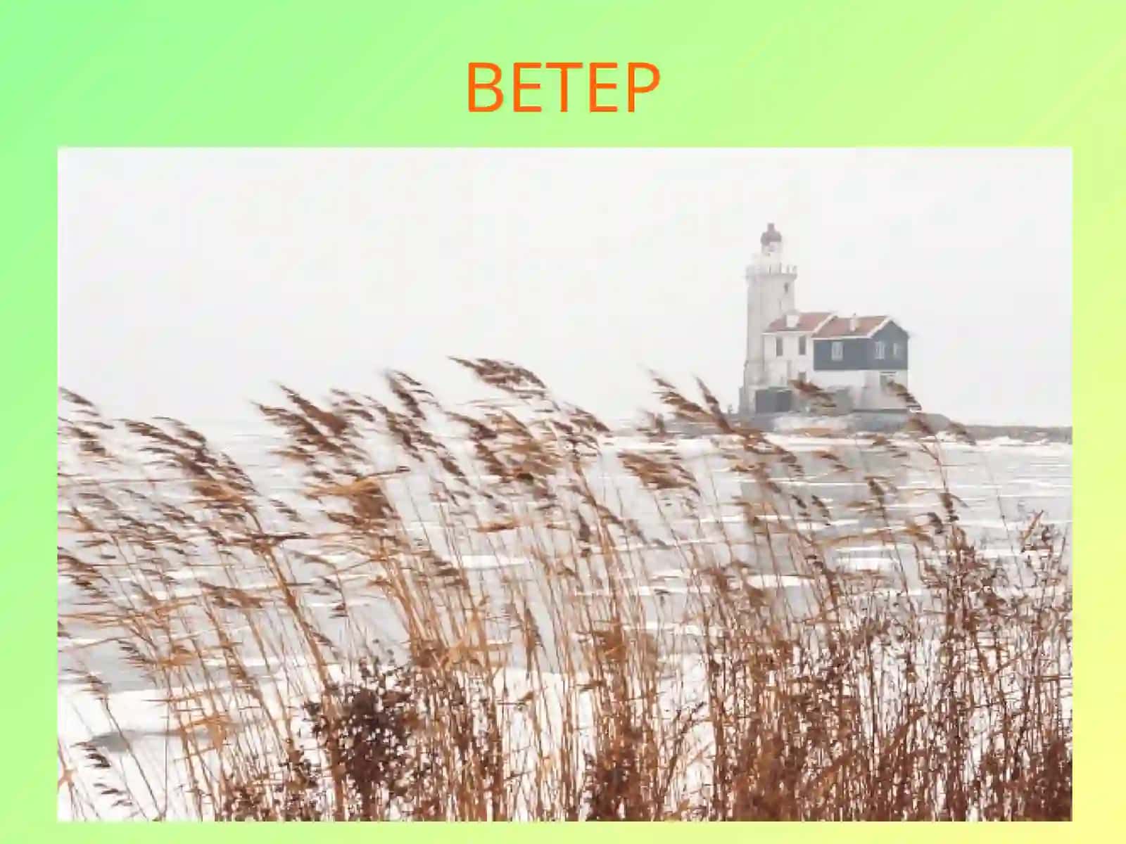 ВЕТЕР 4