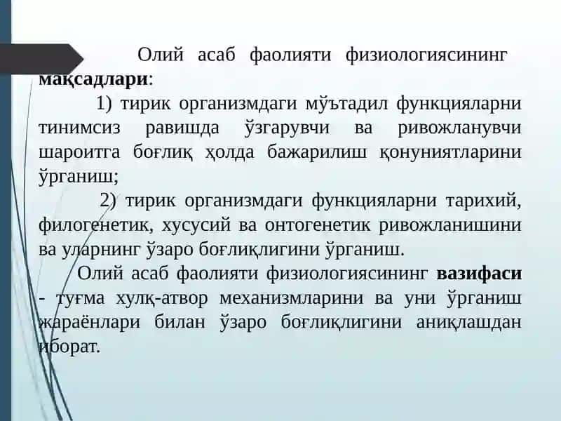 ОЛИЙ NERV SISTEMASI HAQIDA TUSHUNCHA 4