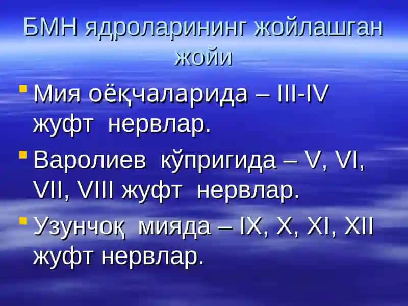 Бош мия нервлари 4