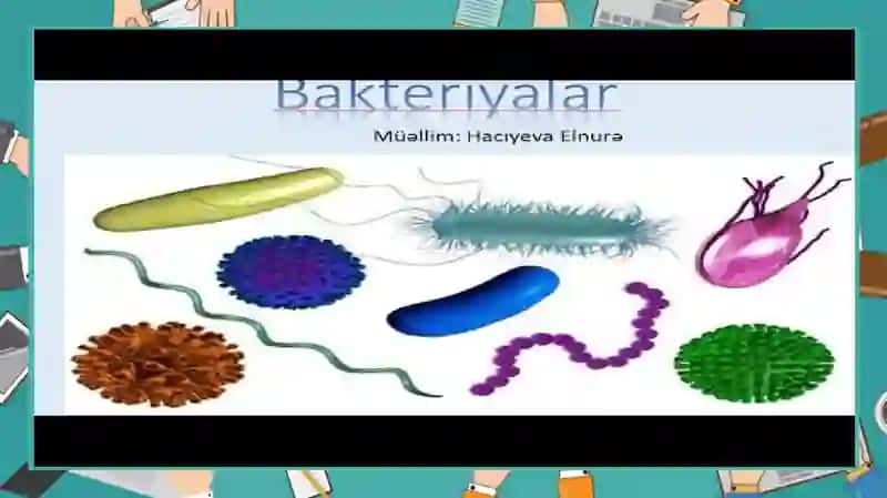 Bakteriyalar harakatchanligini oʻrganishusullari 4