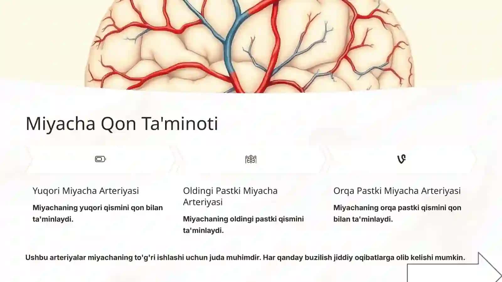 Miyacha Fiziologiyasi 4
