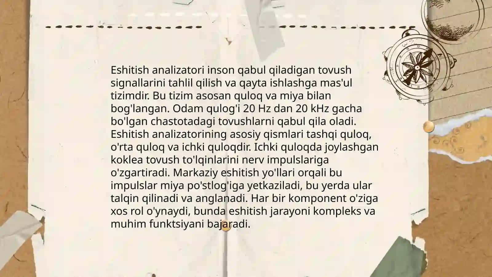 Ko'rish analizatori 4