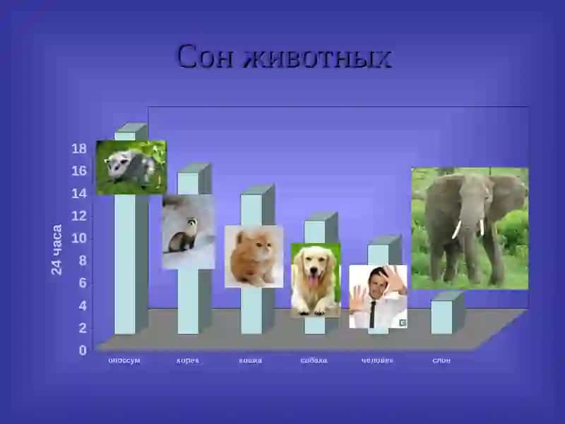 Сон и сновидения 4