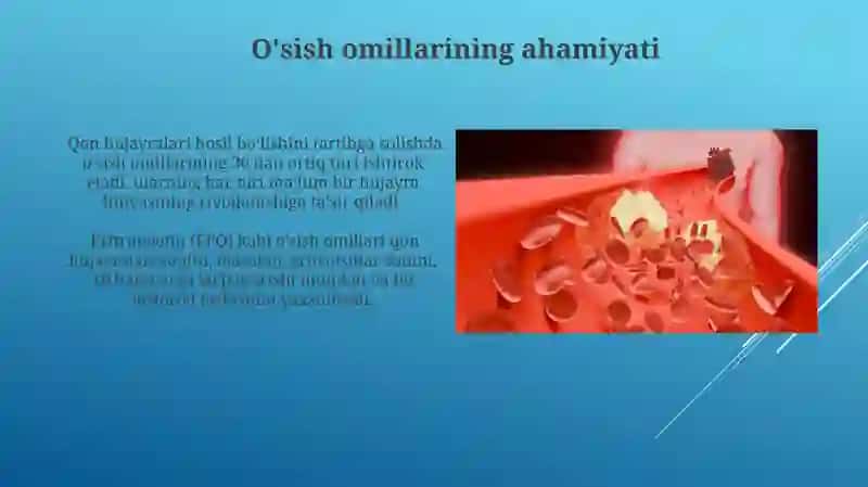 Gemositopoez jarayonining boshqariluvi 4