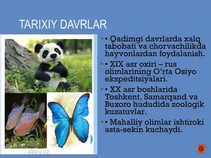 Oʻzbekistonda zoologik tadqiqotlarning rivojlanishi 4
