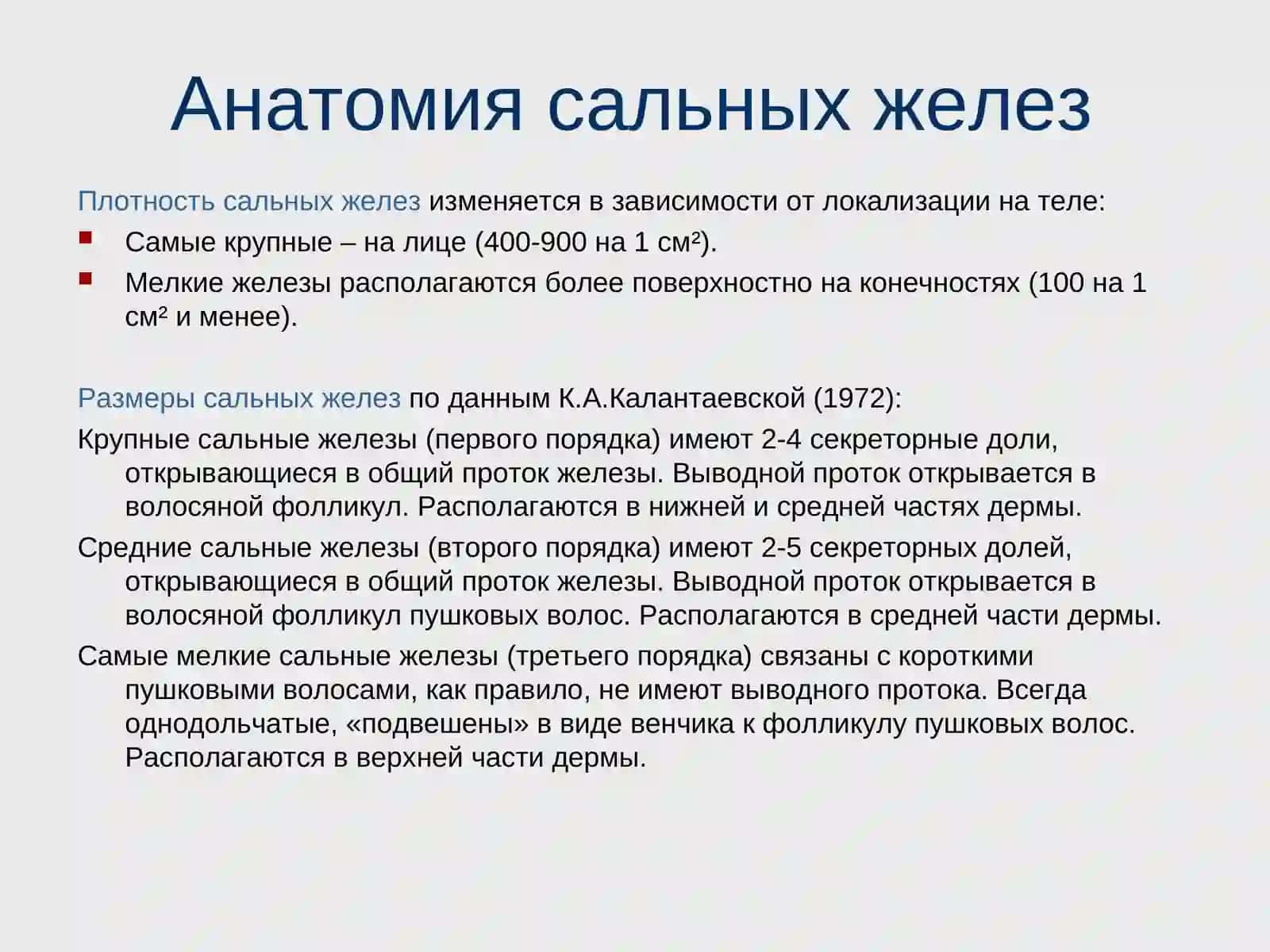 Строение и функции сальной железы 4