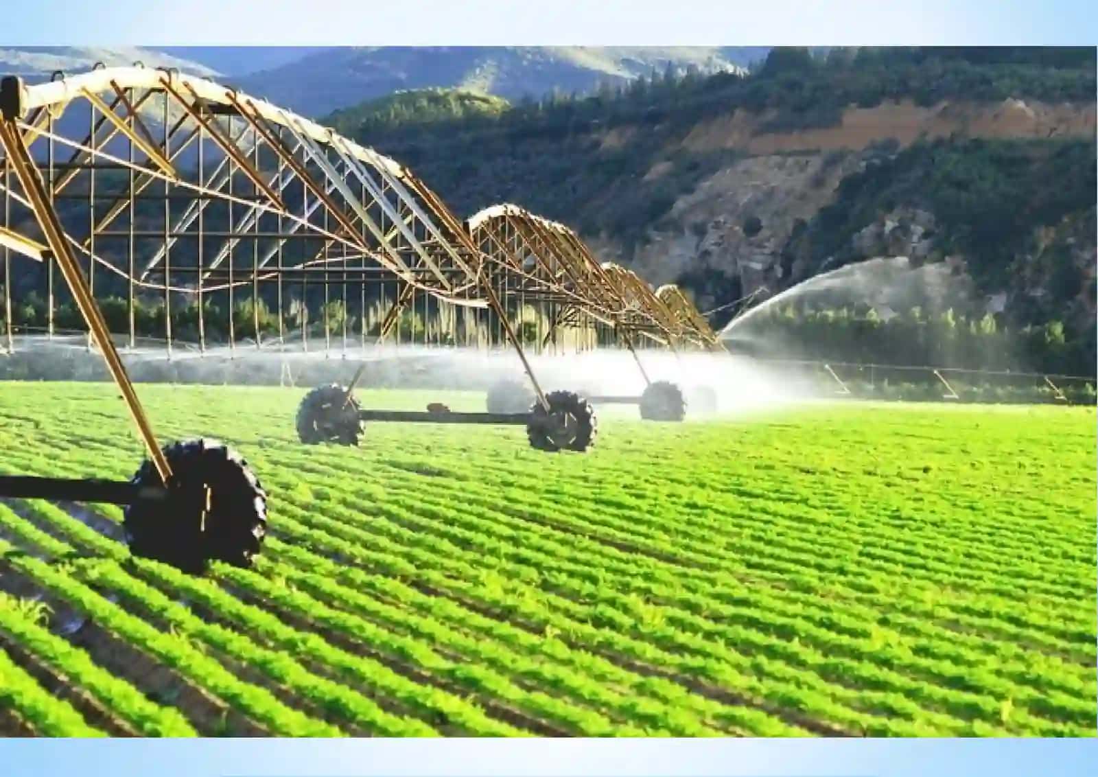 Xitoydavlatining agroturizmi 4