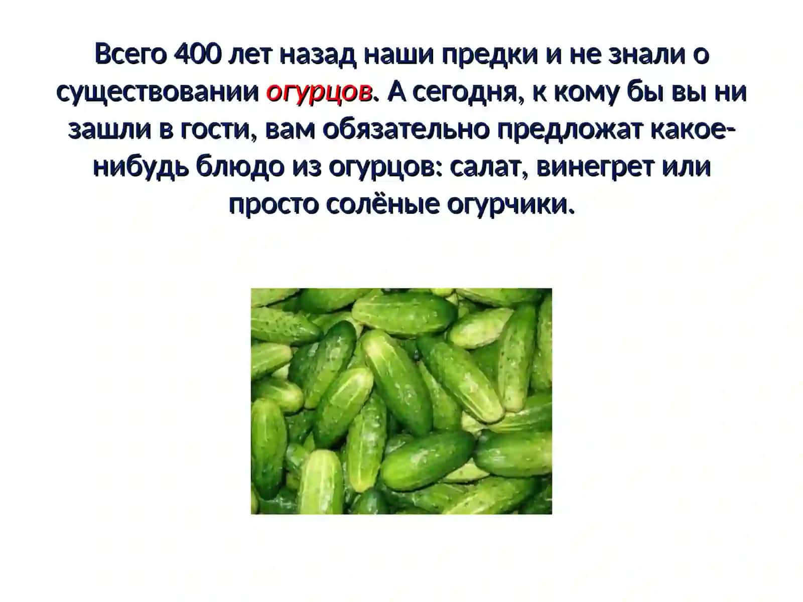 Овощи и фрукты –самые витаминные продукты! 4
