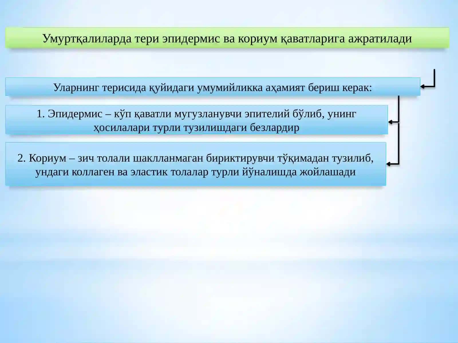 Гистология ва тиббий биология 4