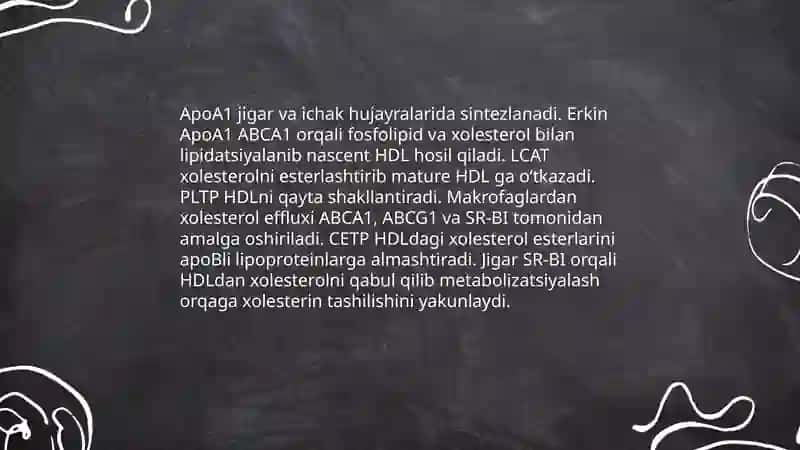 Xolesterin tashilishida qatnashuvchi apo oqsillar Yog' bosish, semirish Sfingolipidozlar 4