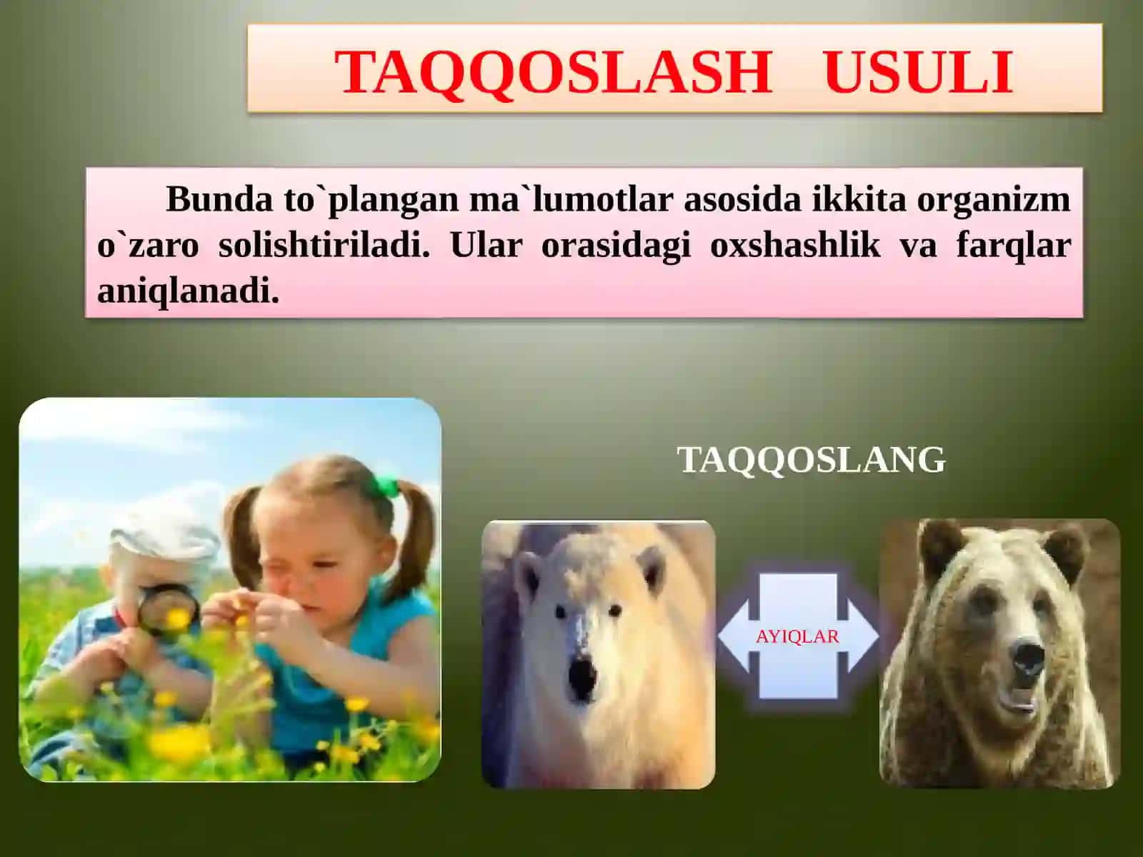 5-sinf Biologiya fanidan dars ishlanma. Biologiyani o'rganish usullari 4