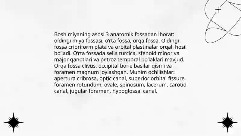 Bosh miyyaning umumiy koʻrinishi va asosiy bo‘linmalari 4
