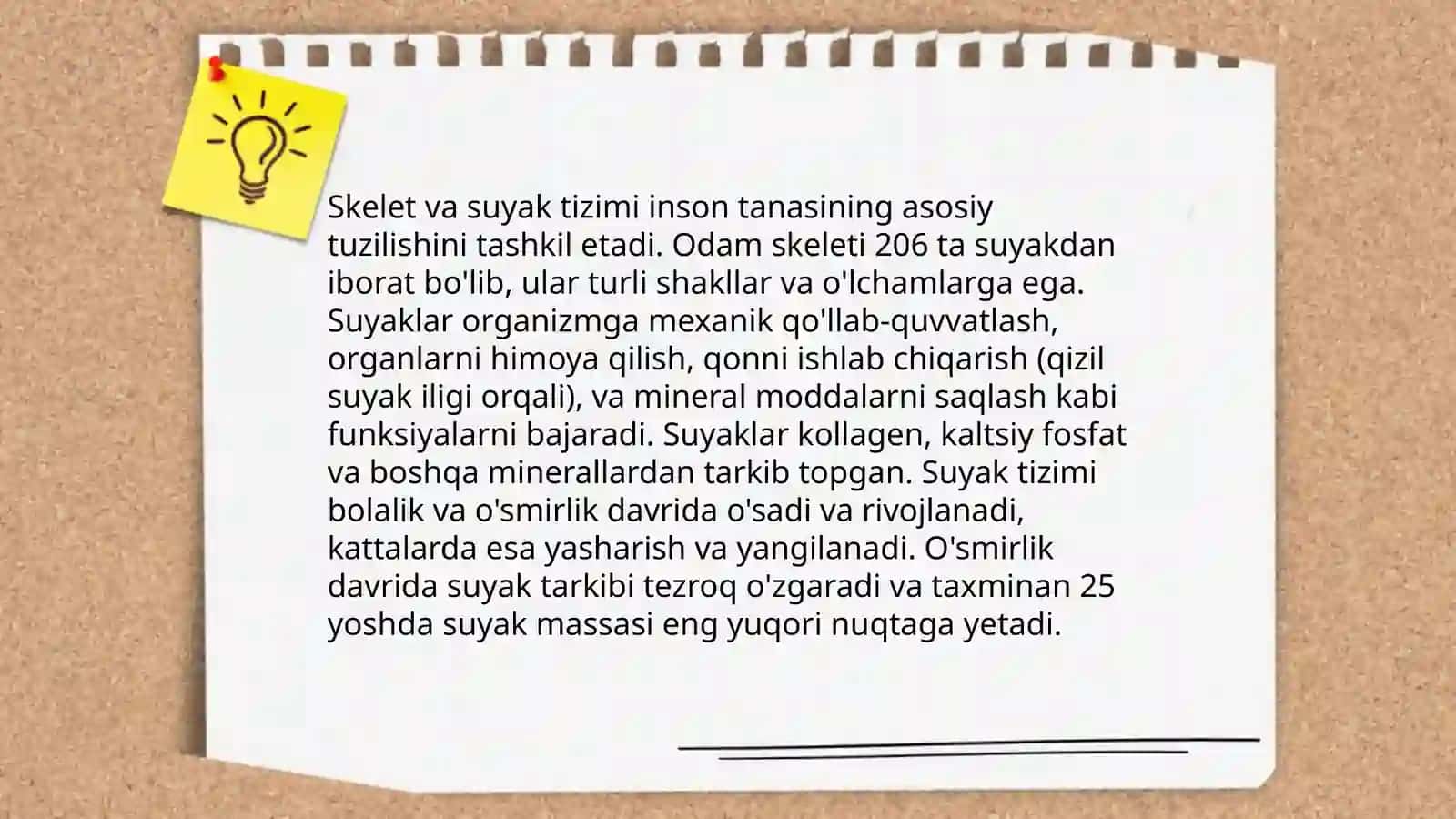 Odam va uning organlari tizimi tuzilishi va vazifalari 4