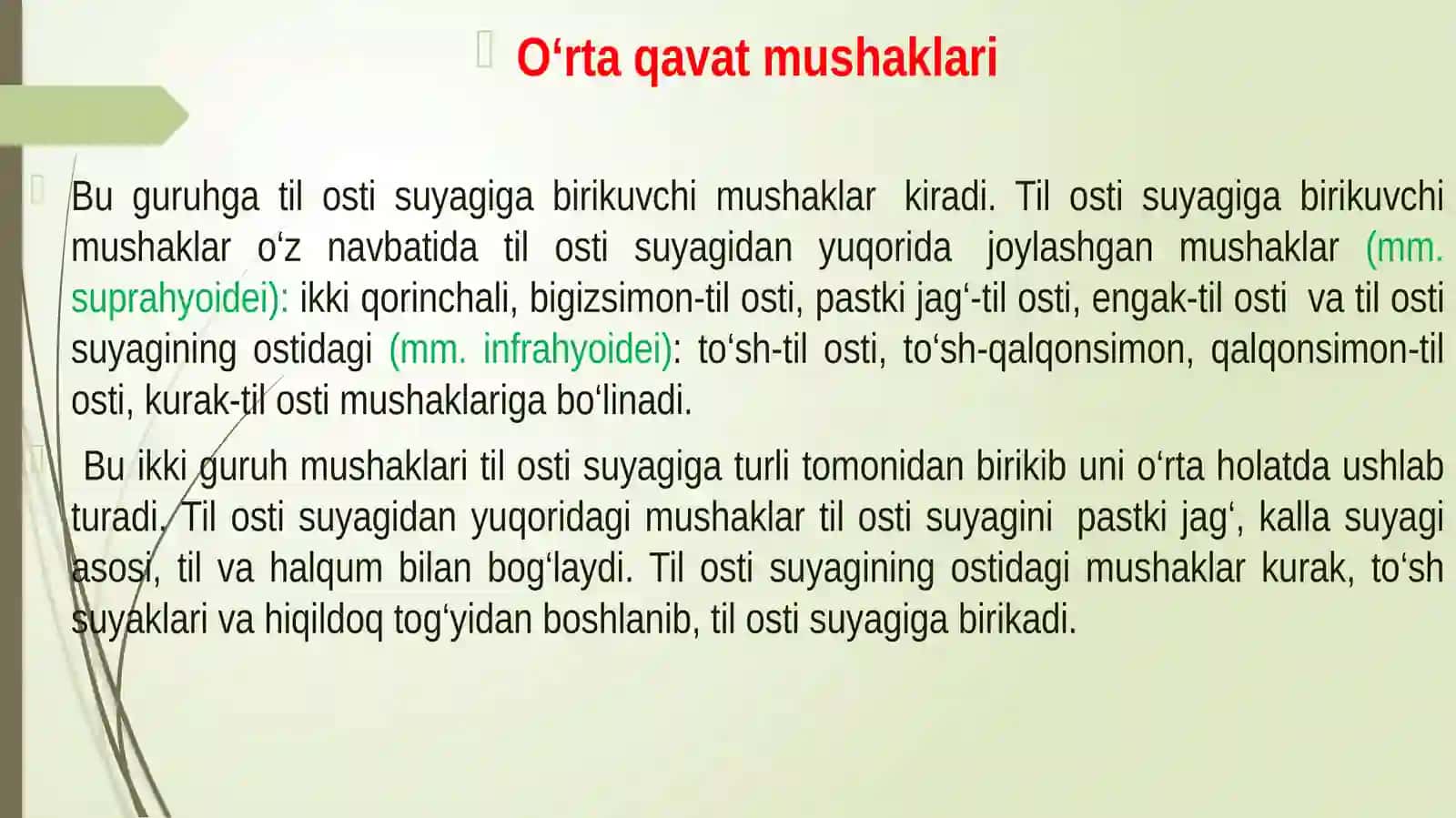 №15MА’RUZA:BO‘YIN MUSHAKLARI. BO‘YIN UCHBURCHAKLARI BO‘YIN FATSIYALARI ULARNING YOSHGA DOIR XUSUSIYATLARI 4