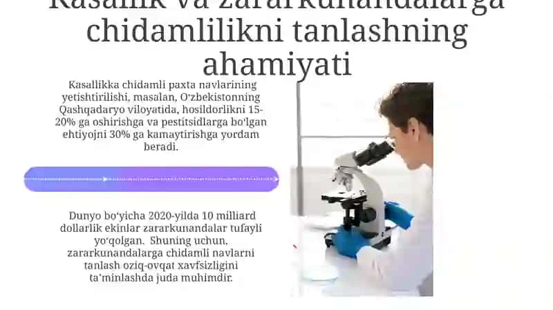 Kasallik va zararkunandalariga chidamlilik seleksiyasi 4