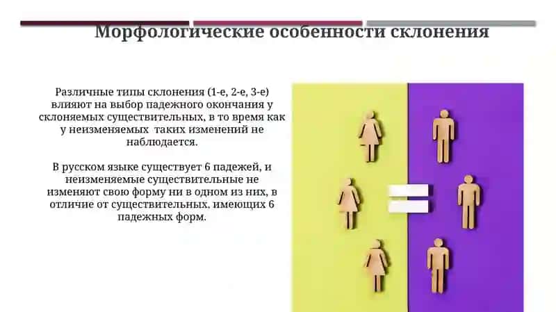 Несклоняемые и разносклоняемые имена существительные 4