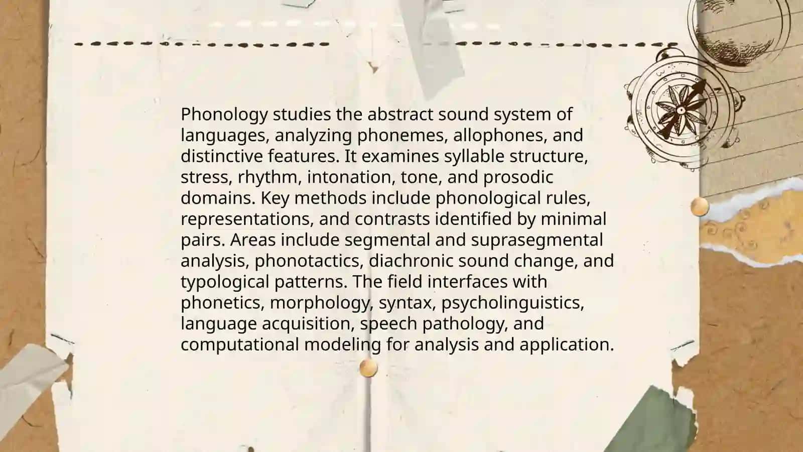 Branches and fields of linguistics 4