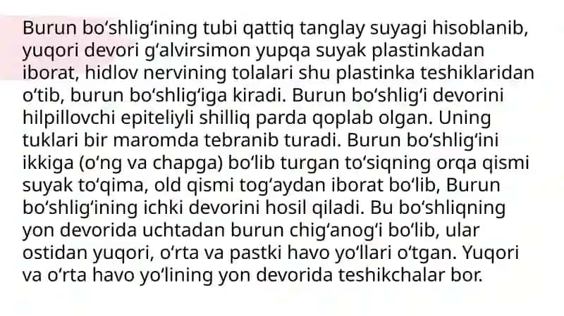 Burun, halqum va hiqildoqning anatomo-fiziologik xususiyatlari 4