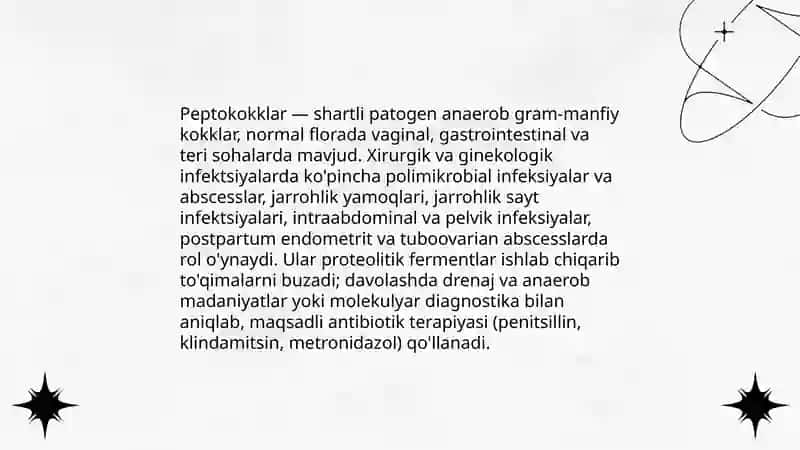 Shartli patagen anaerob kokklar (peptokokklar, peptostreptokokklar, veylonellalar) 4