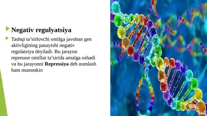 Genlar ta'sirini boshqarilishi, hujayra differensirovkasi. 4