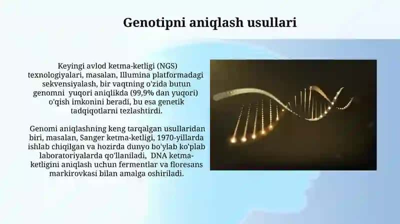 Genotiplash 4