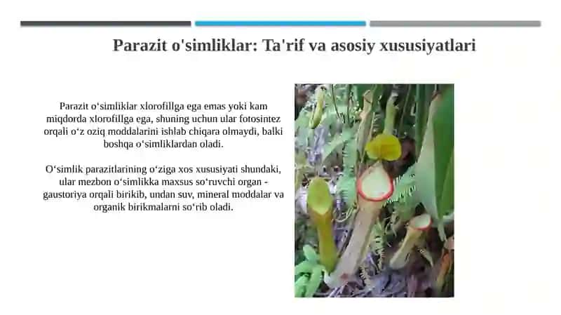 Oʻsimliklarning geterotrof oziqlanish usullari 4