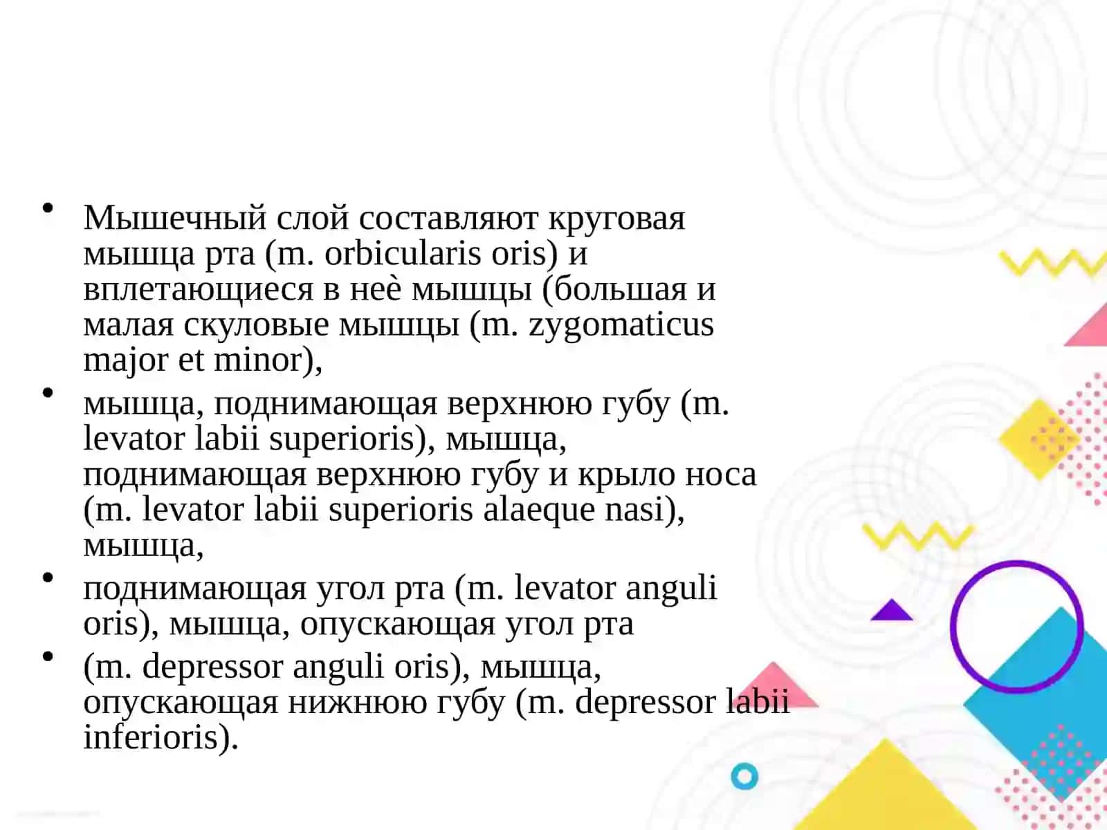 Топографическая анатомия области рта 4