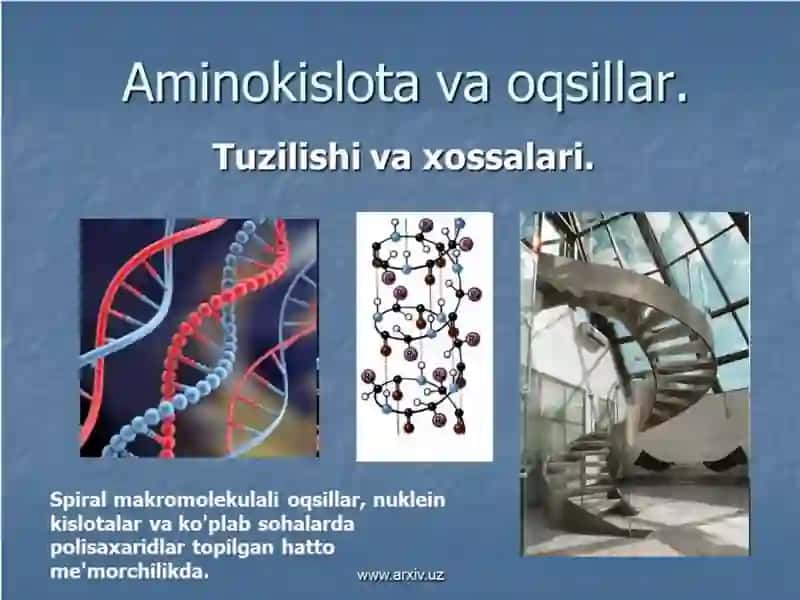 Oqsillar biosintezi, hazm qilish va oqsil assimilyatsiyasi 4
