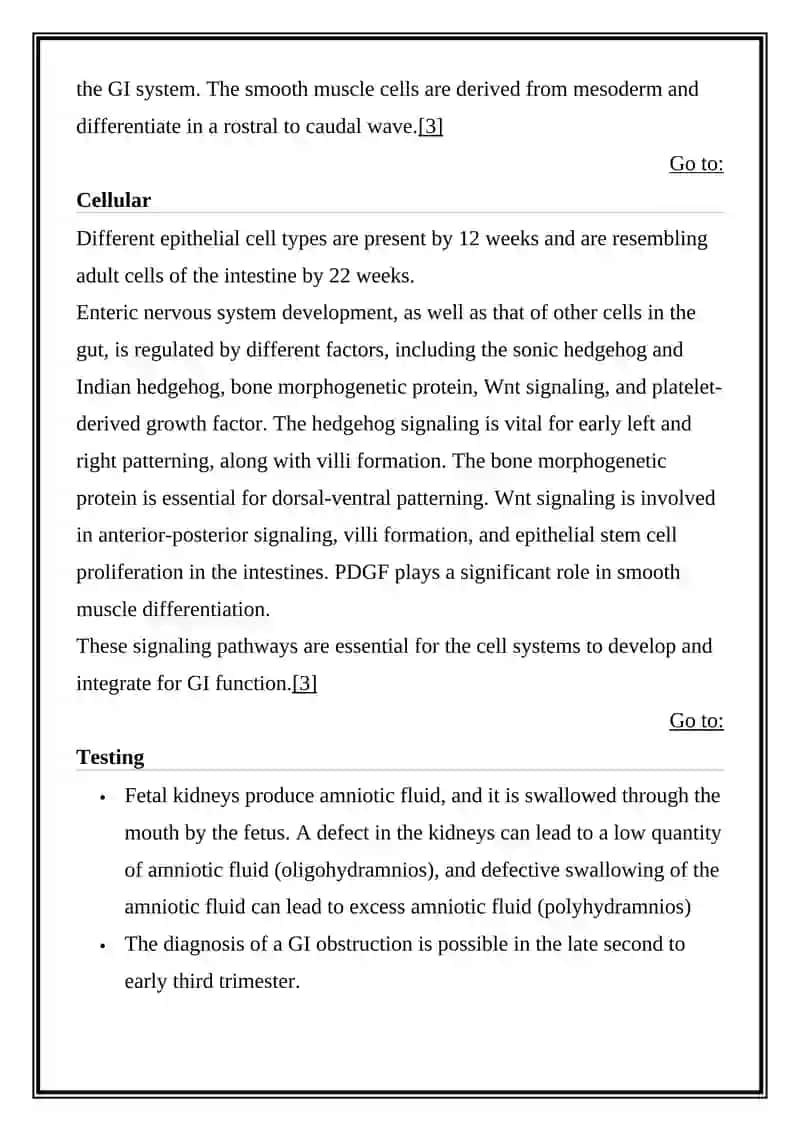 Embryology and Gastrointestinal System Introduction 4