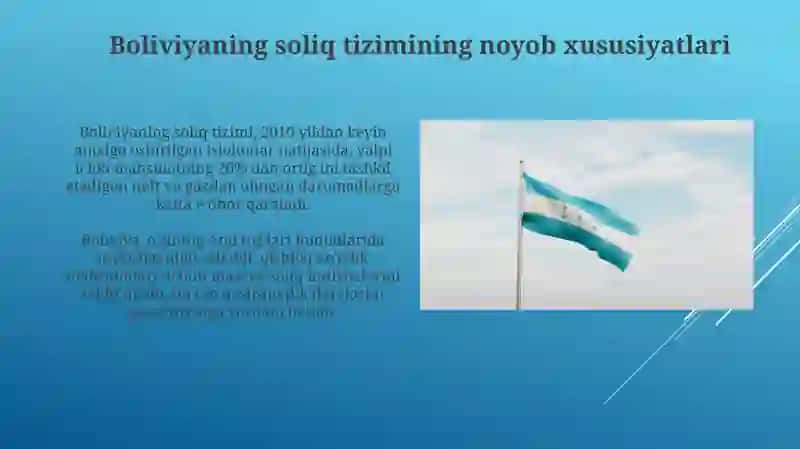 Boliviya soliq tizimi va uning o'ziga xos xususiyatlari 4