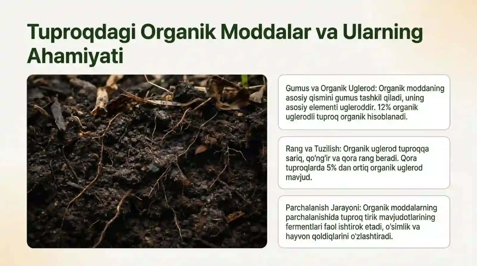 Tuproqni kimyoviy tarkibi uni saqlash va qayta ishlash usullari 4
