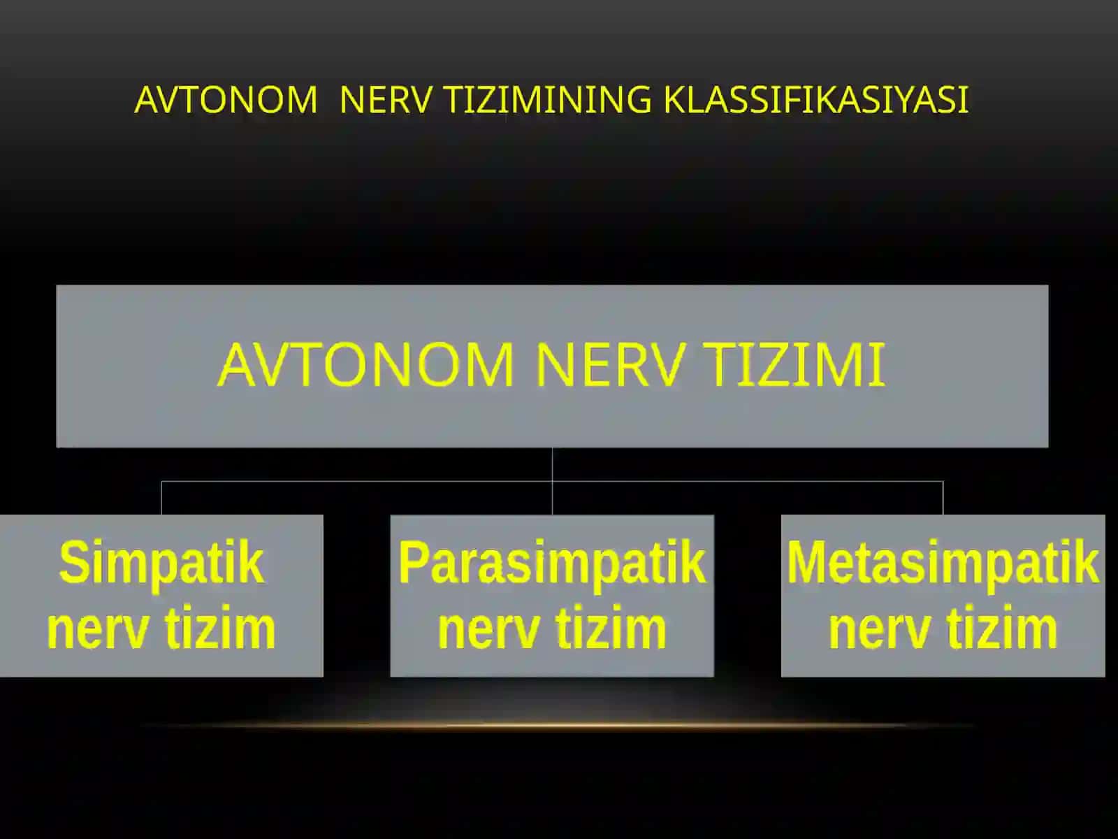 AVTONOMNERV TIZIMINING FIZIOLOGIYASI 4